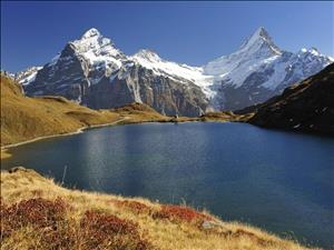 Mountainbike Trail zum Bachalpsee