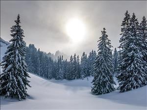 Schneeschuhwanderung bei Lauenen