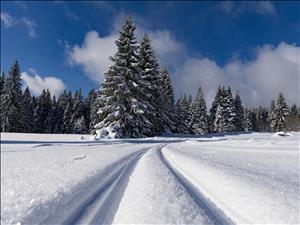 Traumhafte Langlaufloipen in Kandersteg