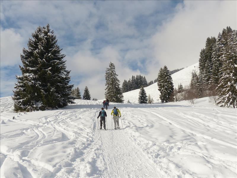 Jaunpass Trail – einsame Schneeschuhwanderung