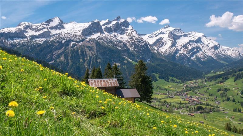 Die 5 kleinsten Chalets der Schweiz