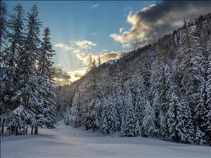 Neue Häuser in Davos-Klosters