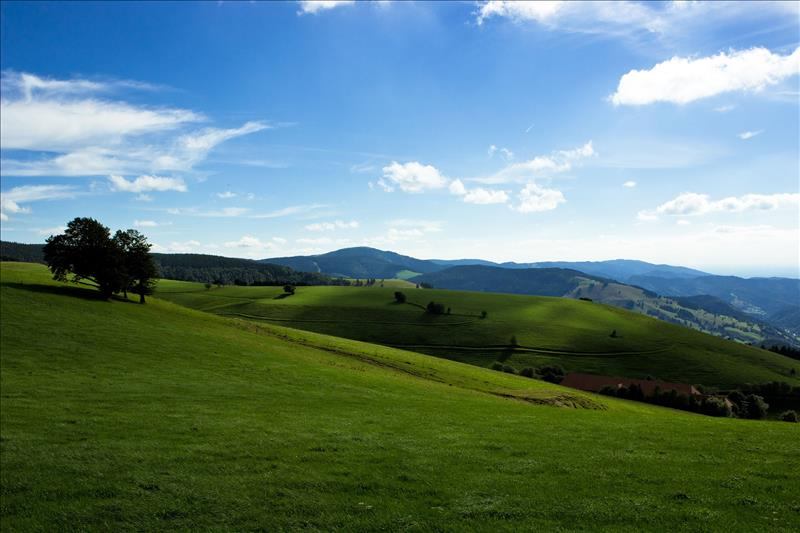 Komfortable Ferienhäuser im Schwarzwald