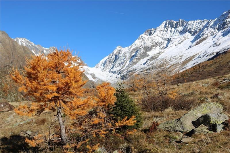 Herbstwanderung: Der Lötschentaler Sagenweg