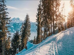 Langlauf-Saison: die schönsten Loipen der Schweiz