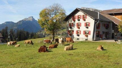 Gruppenhaus_Bauernhof_Salwideli.jpg