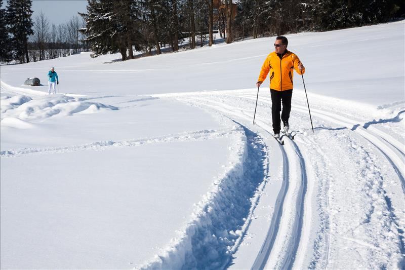 cross-country-skiing-624253_1920_1_.jpg