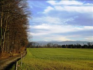 Frühlings-Panoramawanderung Thurberg