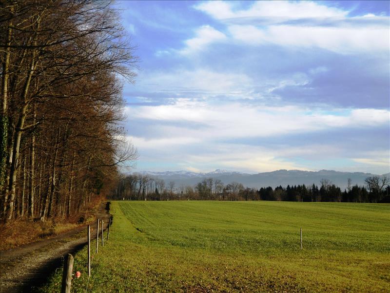 Frühlings-Panoramawanderung Thurberg