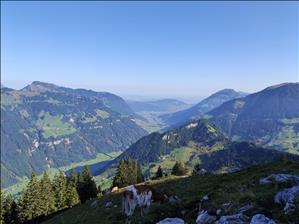 Biketour Engelberg - Ristis - Brunnihütte SAC - Oberrickenbach - Diegisbalm - Oberalp - Alpnach