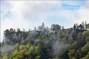 UNESCO Weltnaturerbe: die Buchenwälder am Bettlachstock