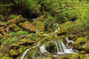 Wanderung durch die Twannbachschlucht