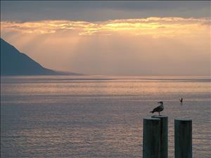 Herbstwanderung zum Lac de Taney