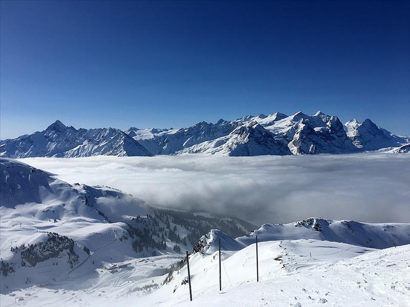 snow-2721601_960_720.jpg