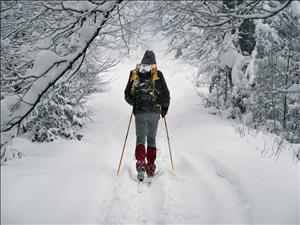 Skilanglauf – auf was Sie als Einsteiger achten sollten!