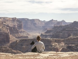 Reisen mit Hund | gruppenhaus.ch