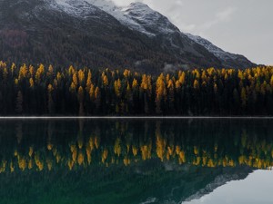 Gruppenhäuser am See - gruppenhaus.ch Magazin