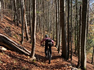 Biketour Bättlerchuchi im Kanton Solothurn