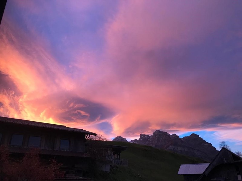 Sonnenuntergang-Sunnigberg.jpg