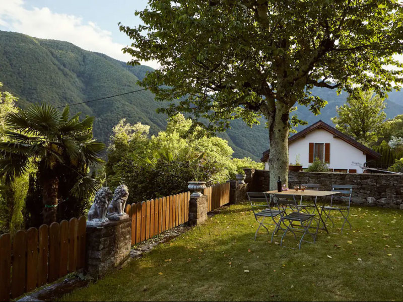 Garten-Ferienwohnung-Palm-Garden.jpg