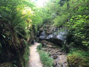 Rundwanderung Teufelsschlucht Belchen - Belchenflue