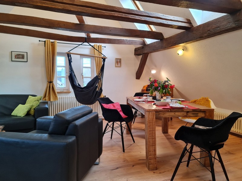Wohnzimmer-AVAHOME3.jpg