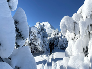 Die Wintersaison ist eröffnet | Skihäuser bei gruppenhaus.ch