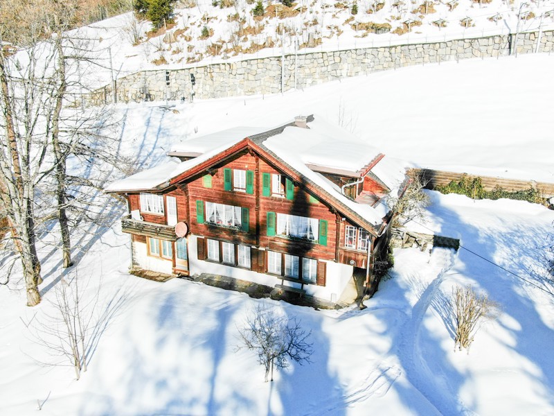 Ansicht-Chalet-Brunner.jpg