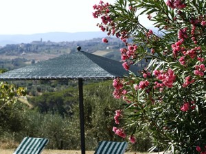 Summer in Tuscany