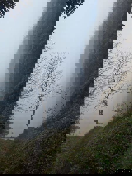 Tellenpfadlücke
