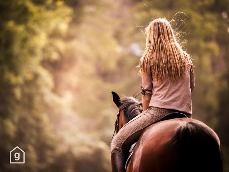 Reitferien in der Schweiz – Ferien mit dem (eigenen) Pferd