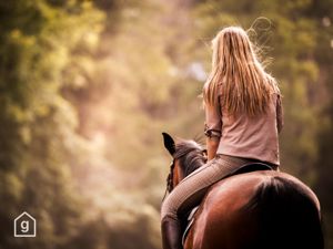 Reitferien in der Schweiz – Ferien mit dem (eigenen) Pferd