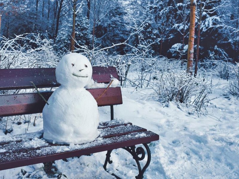 schneemann