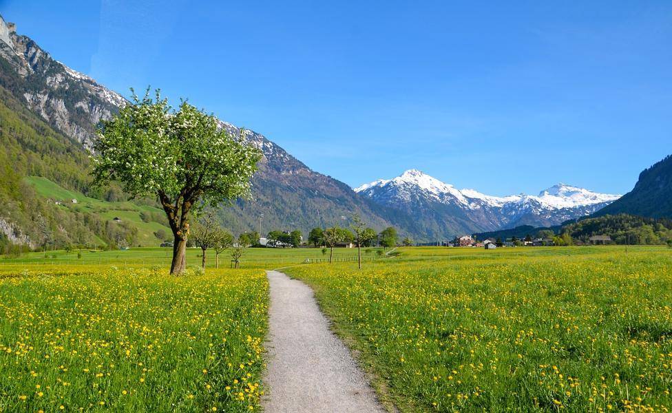 die_anreise_in_die_natur.jpg