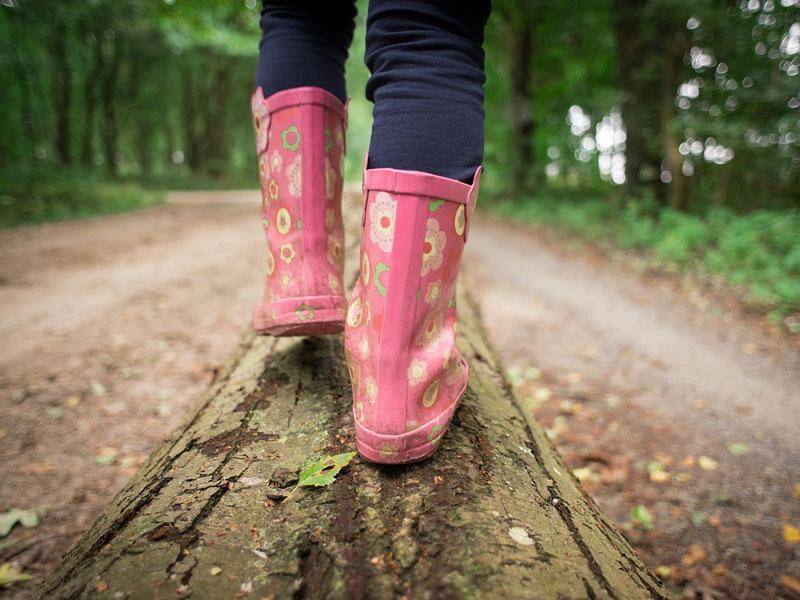 Kinderwandern3.jpg