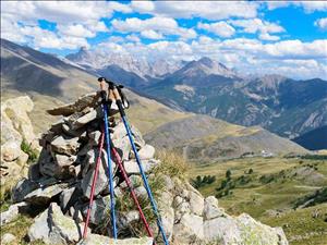 Nordic Walking – Sport für die Gesundheit