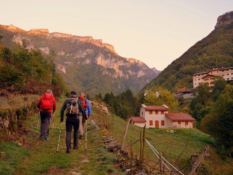 mittel_NordicWalking.jpg