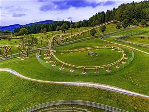 Die coolsten Sommerbobbahnen in Deutschland, Österreich und der Schweiz