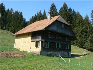 Neues Haus vom 09. Oktober 2018