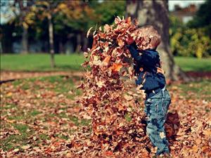6 Herbst-Aktivitäten für Kinder