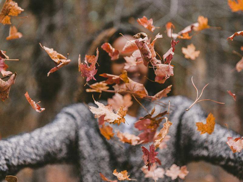 mittel_Herbst.jpg