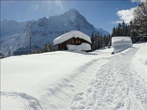 Weihnachtliche Winterwanderung bei Grindelwald