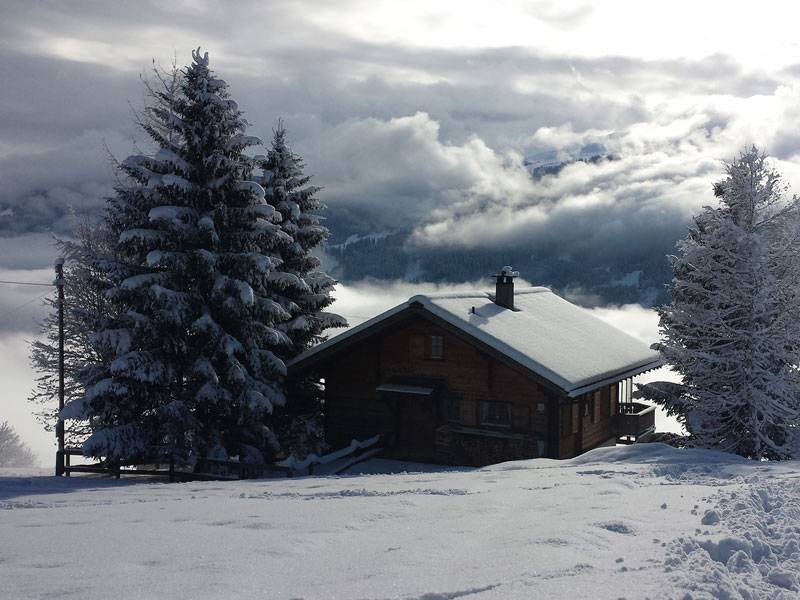 Winterwandern auf dem Höhenwanderweg bei Flims