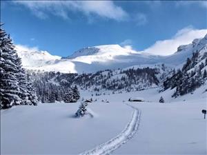 Schneeschuhwandern: Rundweg beim Prätschersee