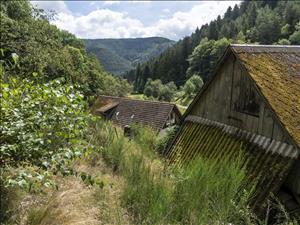 Heuhotel Hasenhof