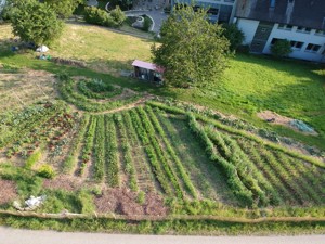 der Gemüsegarten