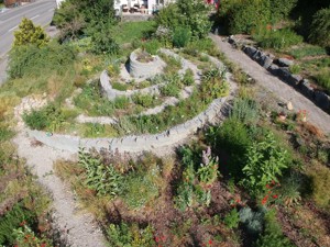 le jardin d'herbes