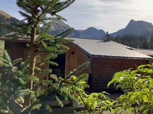 Alp-refuge Schwefelberg Sauna
