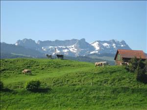 Aventure sur la paille Strohgade