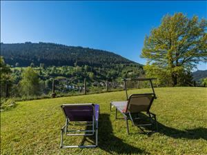 Ferienhaus Traumhaus Burghalde